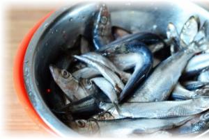 How to pickle sprat at home - recipes
