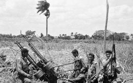American Shame in the Bay of Pigs